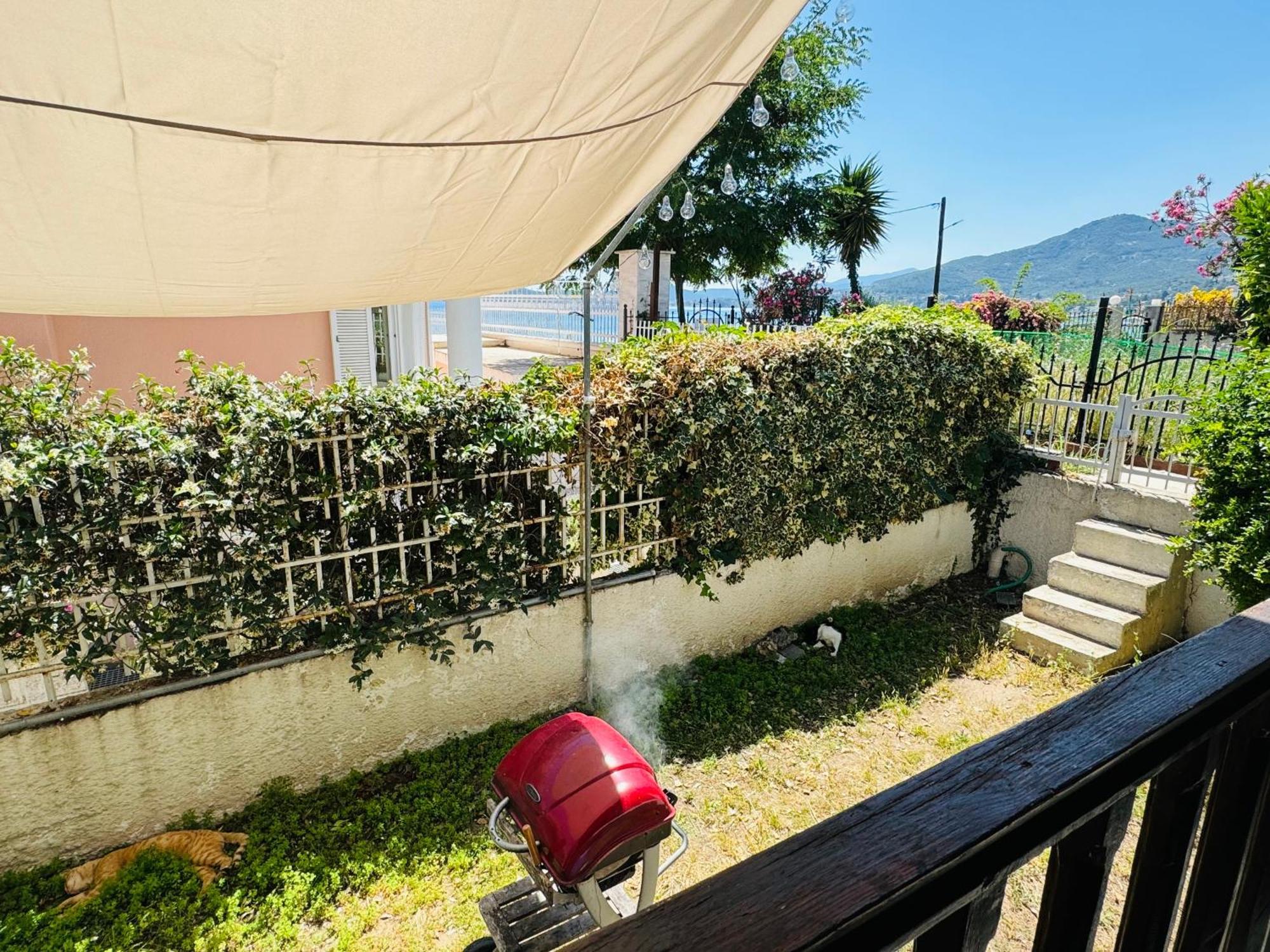 Villa Harmony PalaiónTsiflíkion Екстериор снимка